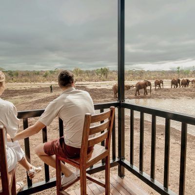A picuture oftwo  tourists holding hands and watching elephants walking past